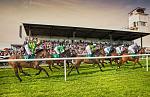 Downpatrick Racecourse Northern Ireland Horse racing 2 930x600